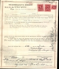Document Preview